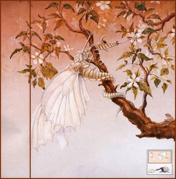 43688. ����, ����