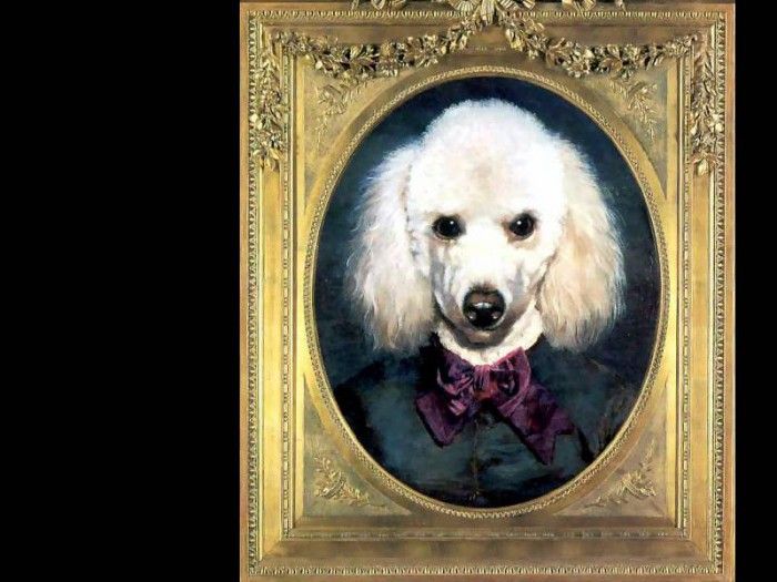 dog portraits csg007 marie clair dubossy. , 