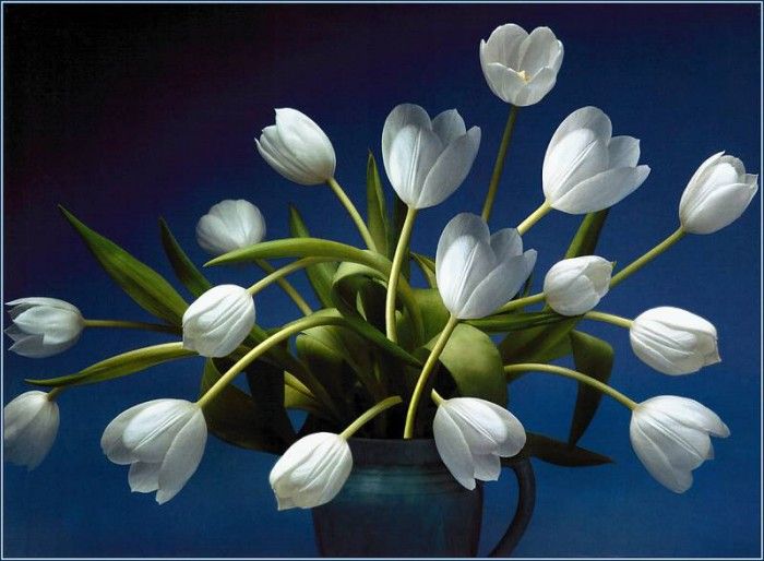 pa SimonKayne BeautifulFlorals 10. Kayne, �����