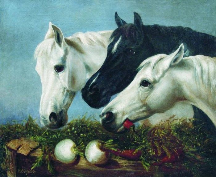  .    (1817-1898)