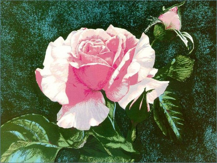 DustonBess-Rose-sj. Duston, 