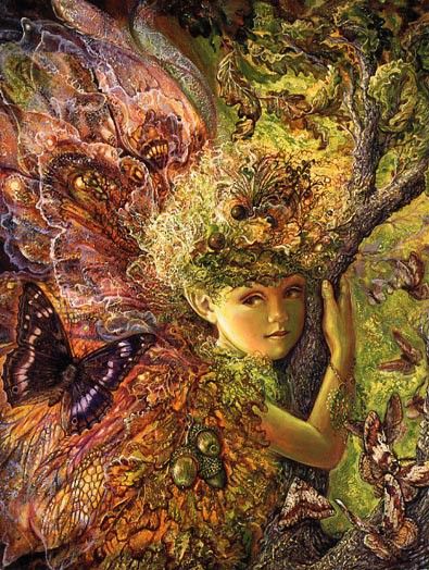 oak fairy. , 