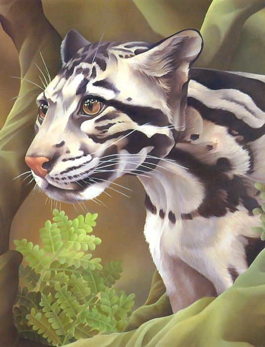 s4-vanishingspecies039-cloudedleopard. , L