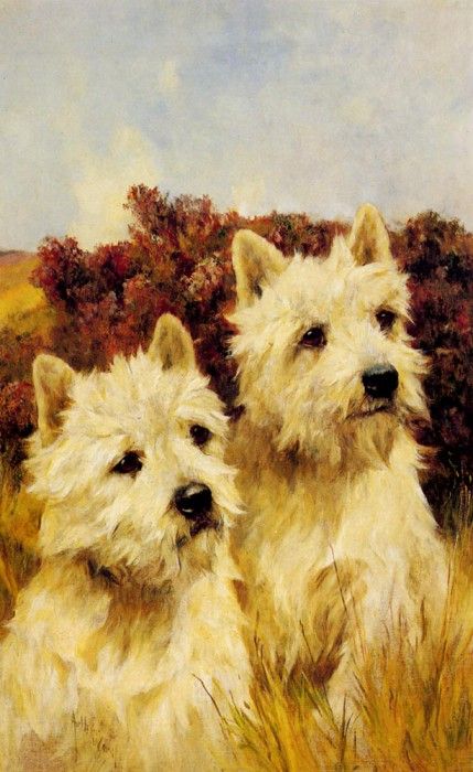 Wardle Arthur Jacque And Jean Champion Westhighland White Terriers. , 