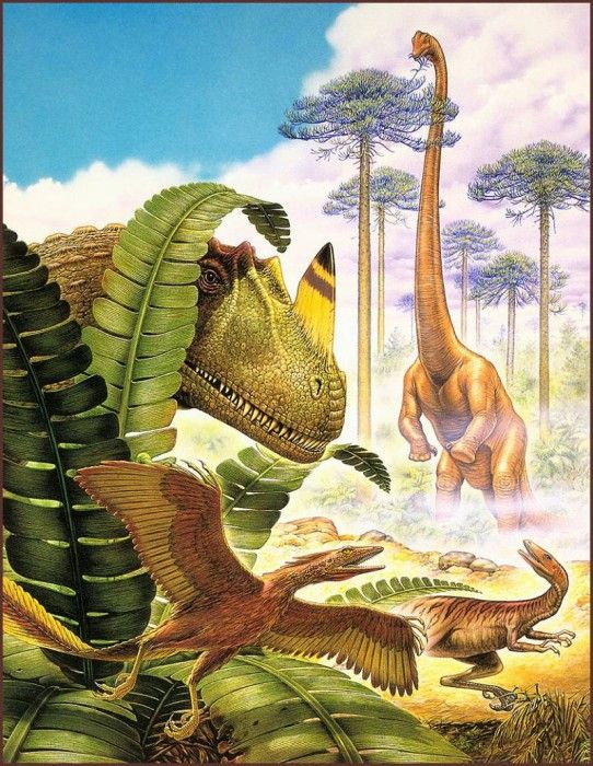 lrsD01EbelAlex-CretaceousGroup. , 