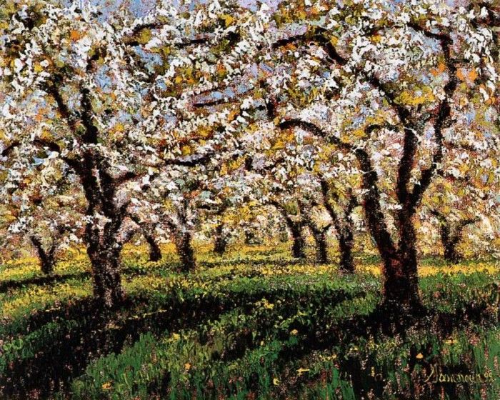 Samir Sammoun - Verger en Fleur, St-Hilaire, De. Sammoun 