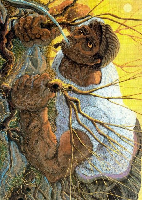 33909. Covili, �����