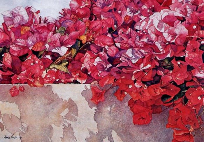 Annie Ferder - Bougainvillea, De. Ferder, 