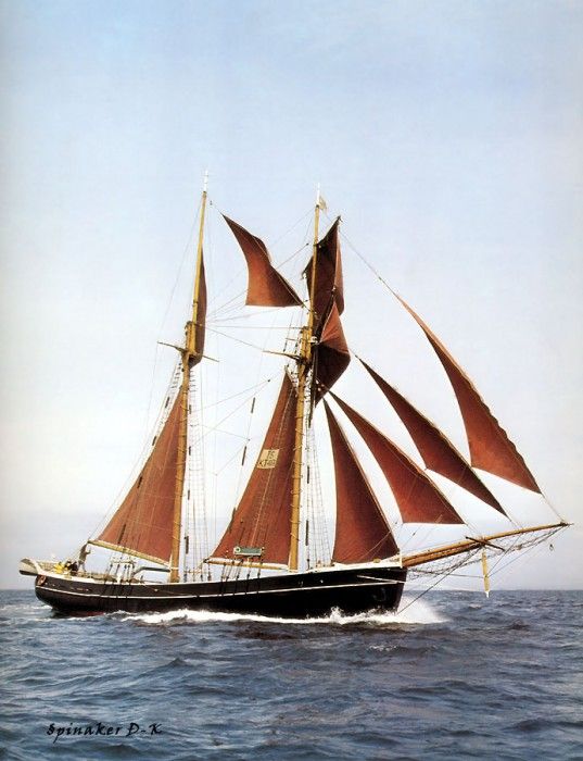 dk tall ships gefion topsail schooner lyr 1894. 