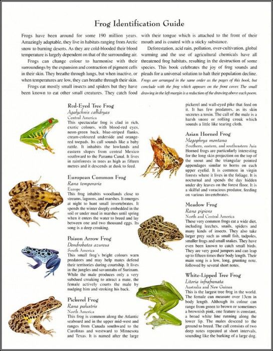 pa TonyOliver FrogsSingSongs 15a. , 