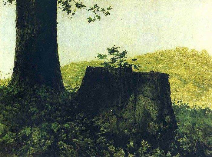 File8976. Wyeth, 