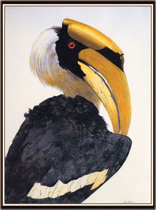 bs-na- Allen Blagden- Hornbill- I. , 