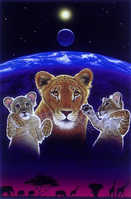 03. Schimmel, ������