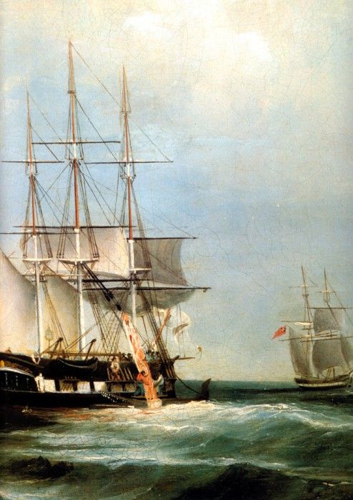 MPA William Duke The Whaling Ship Pacific, 1846-[ R ] sqs.  