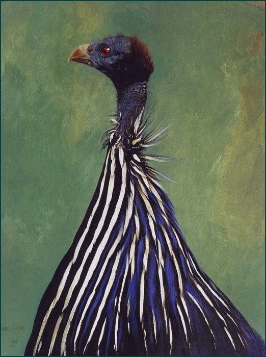 lrsHarrisChingRay-VultrineGuineafowl. ,  