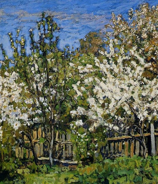 Petrovichev Pyotr Blossoming cherry trees Sun. , 