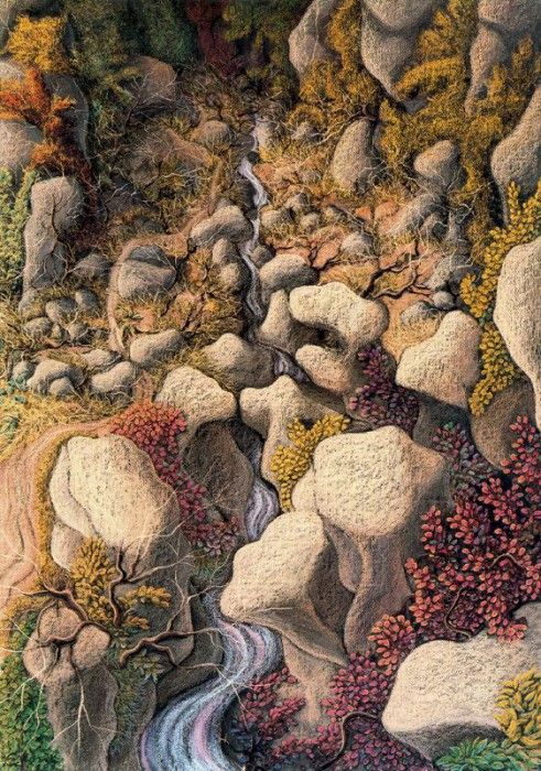 33940. Covili, �����