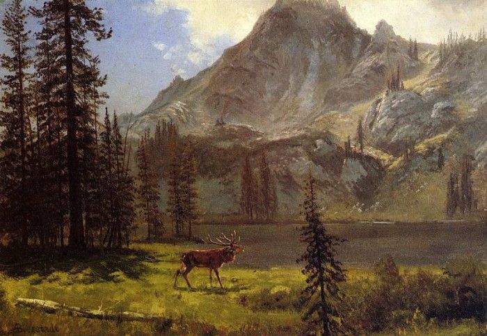 Bierstadt Albert Call of the Wild. , 