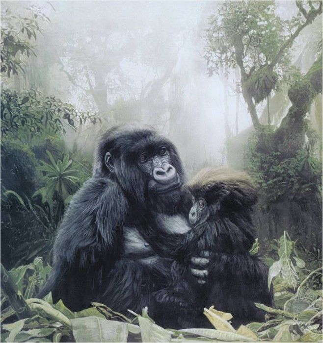 TerryIsaac Gorillas Refuge ec. , 