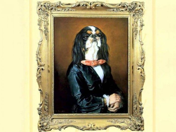dog portraits csg037 miss eulalie featherbridge. , 