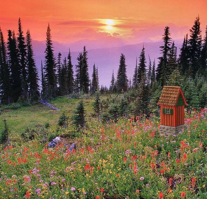 Outhouses - Swiss Chateau, De. 