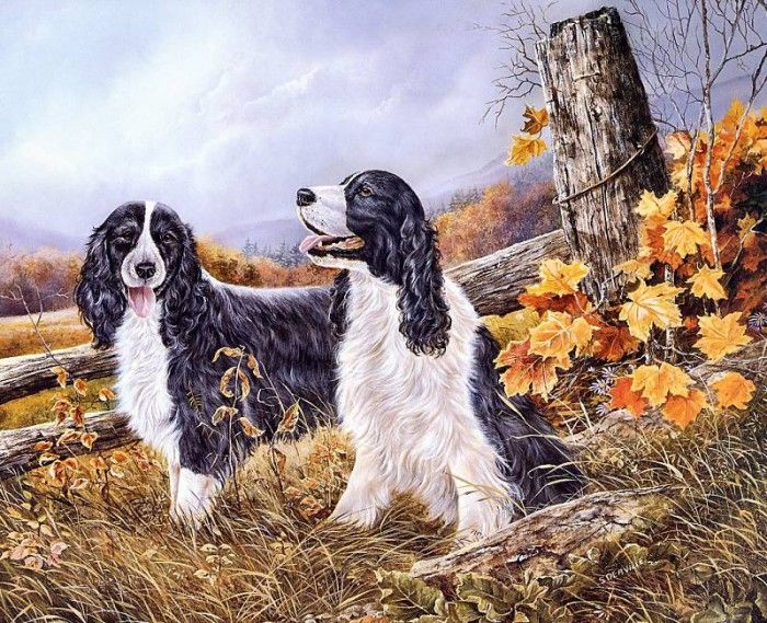 Shirley Deaville - Golden Days, De. Deaville, �����