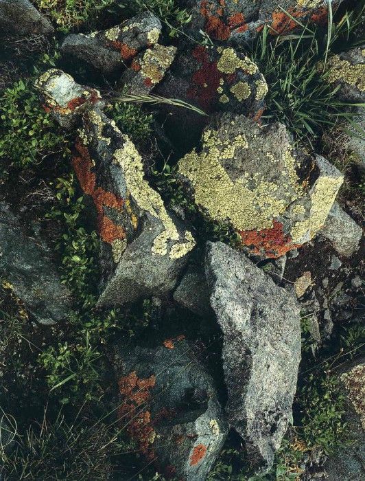 File4919. ����� ������ - ����� (���)