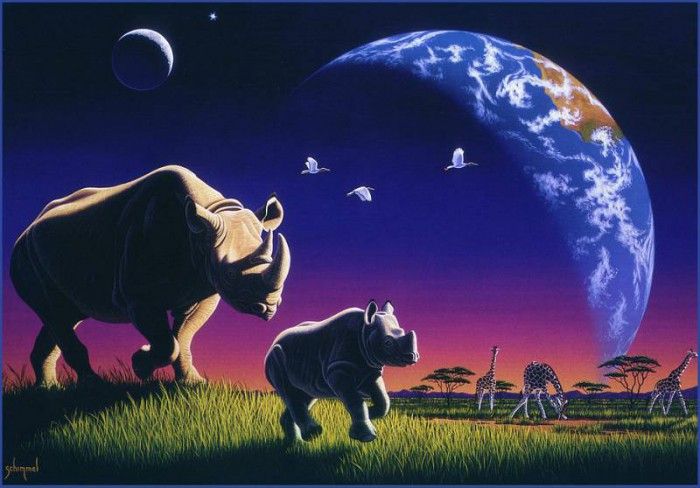 am Playful World. Schimmel, Уильям