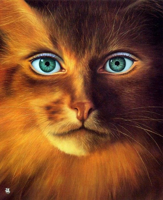 Cat-Woman. ������, ����