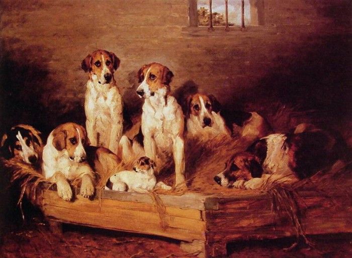 Foxhounds and terriers in a Kennel. , 