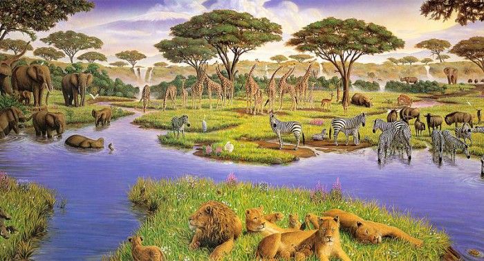kb Bragg CL African Watering Hole. ,  