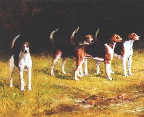 Belvoir Hounds. , 