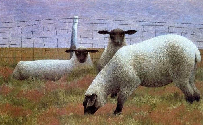 Alex Colville - Three Sheep, De. , 