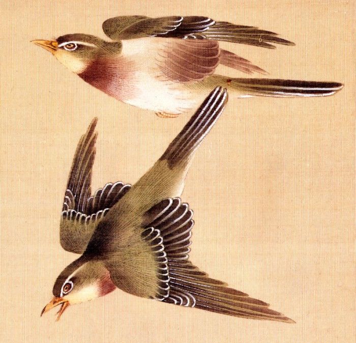 Shuki, Okamoto - Bush Warblers (end. , 