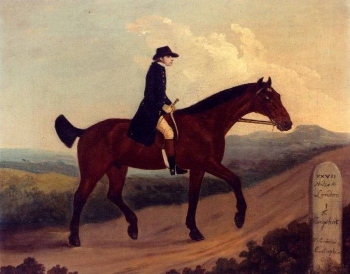 Sartorius Francis A Horseman On The Road To Bagshot. , 