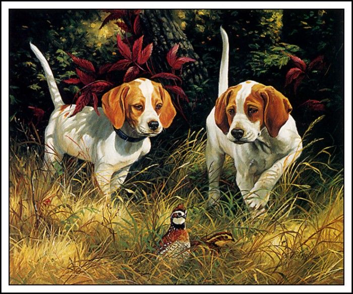 bs-na- Linda Picken- Beginners Luck. , 