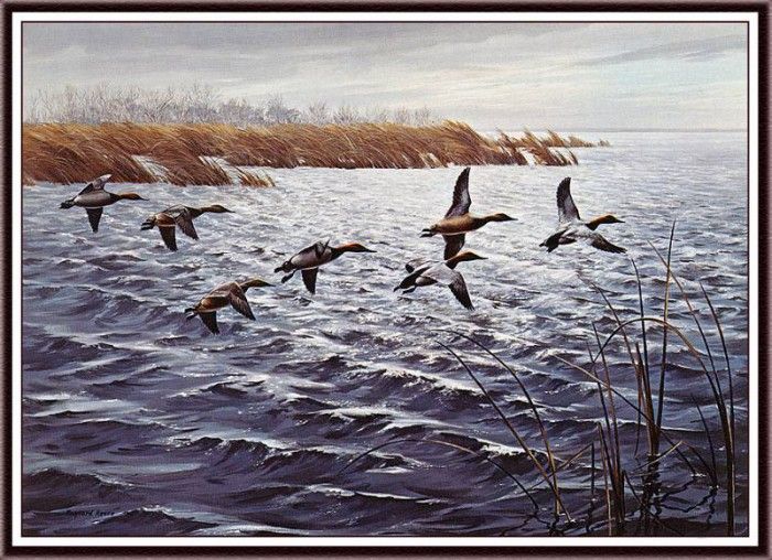 bs-na- Maynard Reece- Against The Wind- Canvasbacks. , 