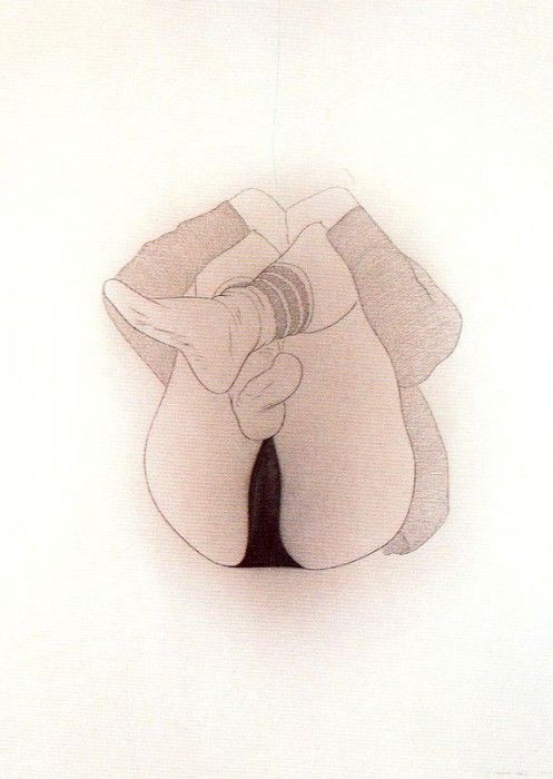 16753. ����, �������