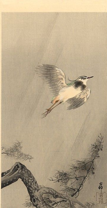 pic02197. �����