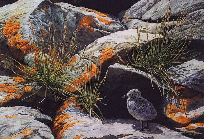 lrsWeirsPersisClayton-LittleWanderer. ������, ����� �������