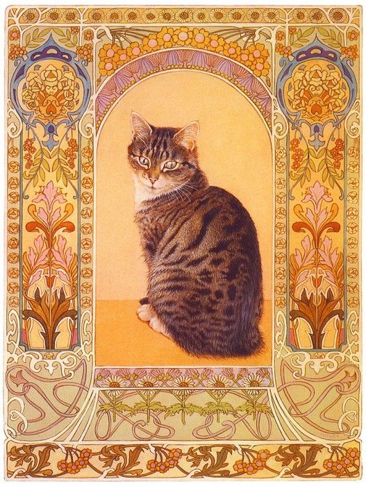 lrsIvoryLACosmicCat. ,  