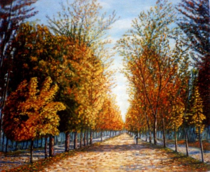 36282. ����������, ��������� Sadornil