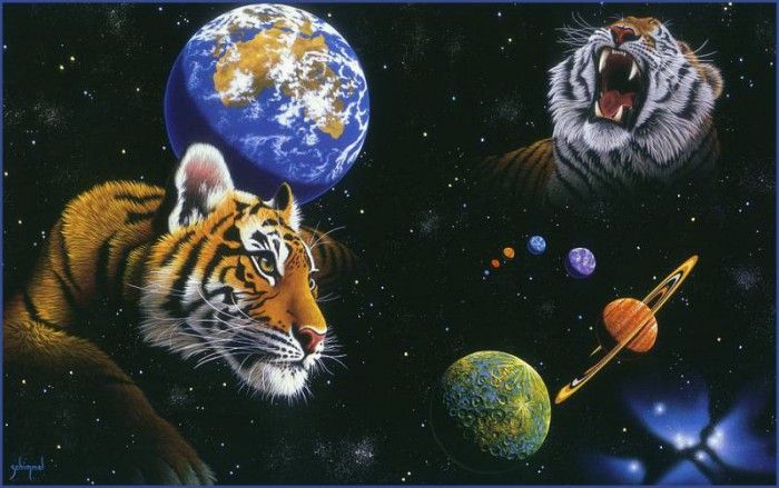 am Heritage. Schimmel, ������