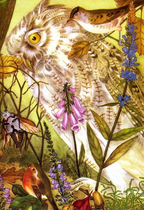 48587. �����, Adrienne