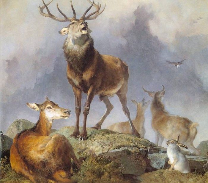 landseer4.   