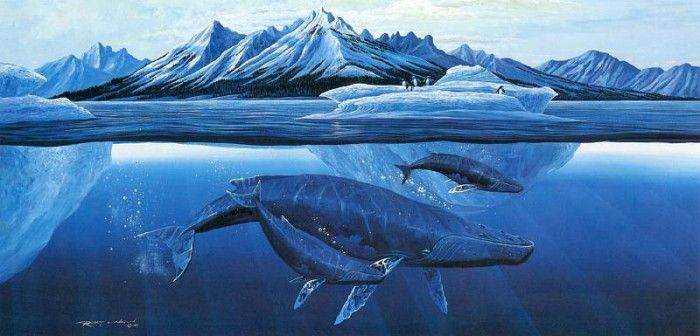 kb Nelson RL Antarctic Humpbacks. ,  
