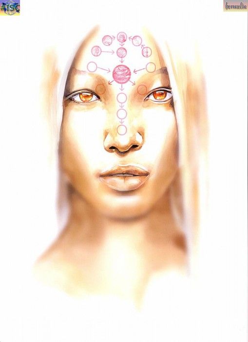 hermelin isc TW 74. Wuerz, ����