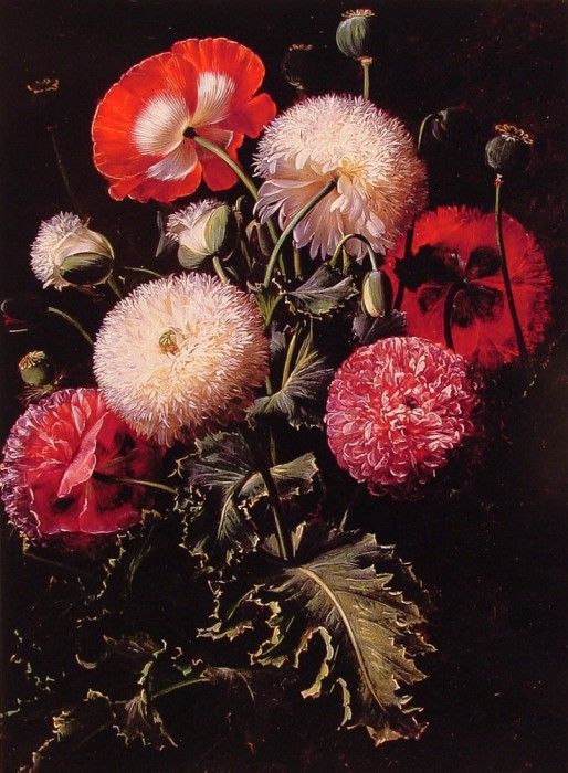 Still Life with Pink Red and White Poppies. ,  Laurentz