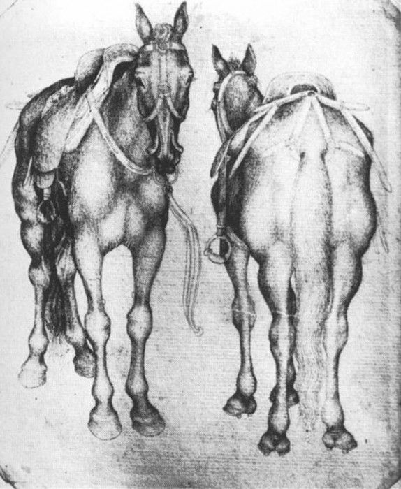 PISANELLO Horses.  