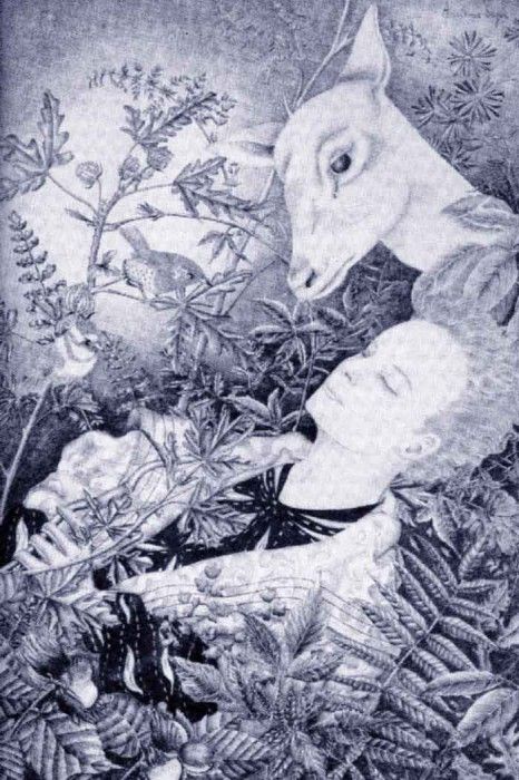 48590. �����, Adrienne